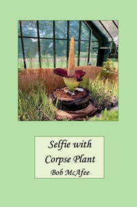 Book Front Cover